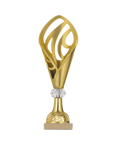 https://www.huesliclub.ch/wp-content/uploads/2022/11/trophy_03.png